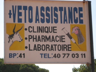 01 Veterinaire